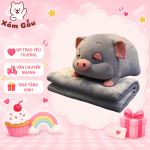 gấu heo xám kèm mền