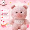 Gấu Bông Heo Con Mini